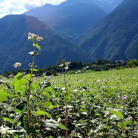 Bellavista Teglio