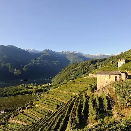 Bellavista Teglio