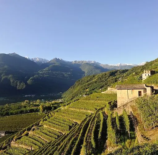 Bellavista Teglio